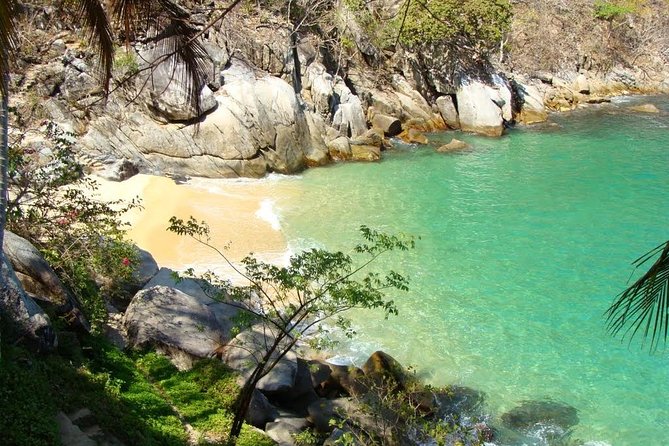 Private Los Arcos Snorkel and Beach Tour from Puerto Vallarta - The basic flow: from Los Muertos Pier to Los Arcos and back