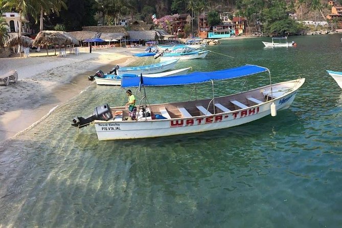 Private Los Arcos Snorkel and Beach Tour from Puerto Vallarta - What to bring, and how to avoid a day that feels annoying