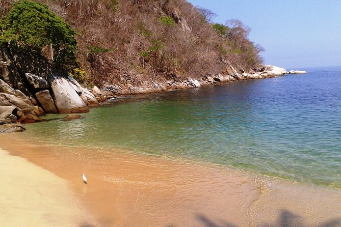 Private Snorkeling Adventure: Los Arcos & Colomitos Beach - Who should book this private Los Arcos and Colomitos trip?