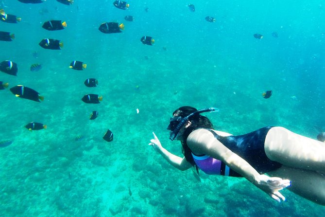 Private Snorkeling Adventure: Los Arcos & Colomitos Beach - Snorkeling at Los Arcos de Mismaloya: where the marine life shows up