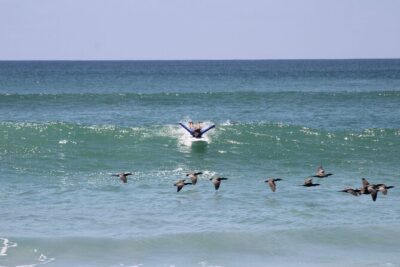 Private Surf Lesson in Punta Mita - The 10-minute jungle walk: small effort, big payoff