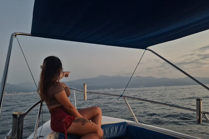 Private Tour 3 Hours of Whale Watching - The 3-Hour Plan From Los Peines Dock to the Open Bay
