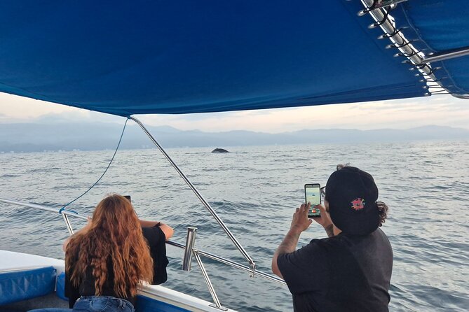 Private Tour 3 Hours of Whale Watching - Captain Skills, Choppy Water, and Motion-Sickness Reality