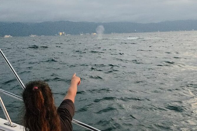 Private Tour 3 Hours of Whale Watching - Price and Value: What $315 Means for a Private Group
