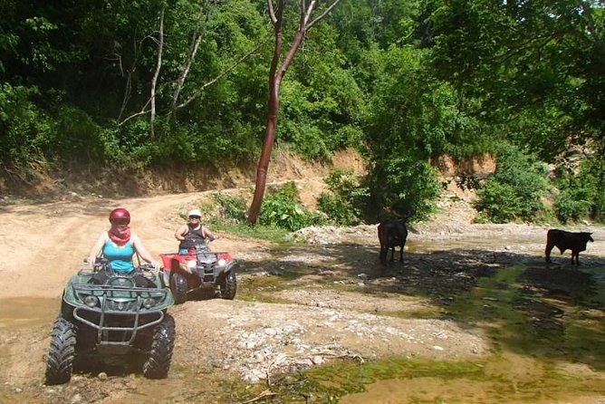 Private Tour: ATV SIERRA MADRE rivers with Tequila Tasting - Countryside ranch meal: fuel up, pay for the good stuff