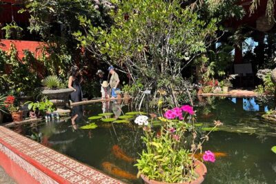 Private Tour: Botanical Garden & Petroglyphs - Jardin Botanico de Vallarta: orchids, birds, and an easy pace with a guide