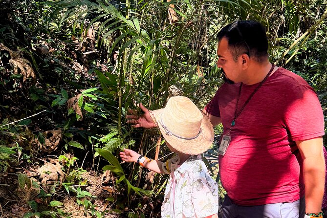 Private Tour: Botanical Garden & Petroglyphs - Lunch at a countryside restaurant: classic Mexican dishes, and plan for your budget