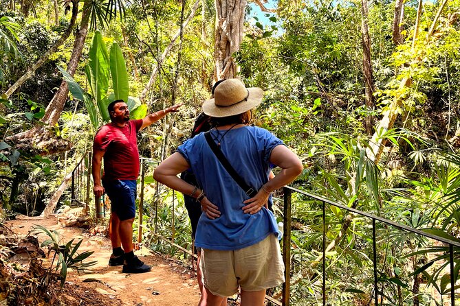 Private Tour: Botanical Garden & Petroglyphs - Pickup, timing, and the small-group advantage in Puerto Vallarta