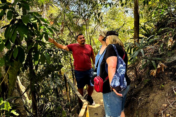Private Tour: Botanical Garden & Petroglyphs - What to bring for a moderate walking day (and a weather check)