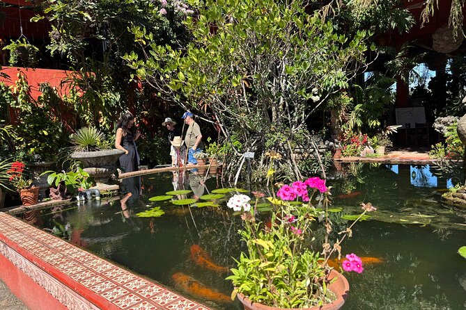 Private Tour: Botanical Garden & Petroglyphs - Jardin Botanico de Vallarta: orchids, birds, and an easy pace with a guide