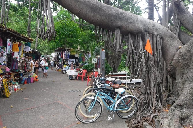 Private Tour in El Malecon Boardwalk Bike Ride - Isla Cuale: A Green Pocket and the Elizabeth Taylor Connection