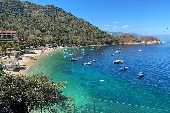 Private Tour of Puerto Vallarta and the Subtropical Forest - Zona Romántica: Playa Los Muertos and Plaza de los Azulejos