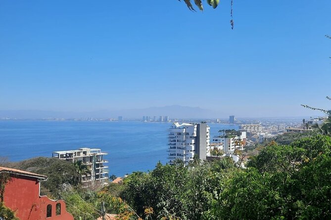 Private Tour of Puerto Vallarta and the Subtropical Forest - Parroquia de Nuestra Señora de Guadalupe: That Crown You’ll Spot Fast