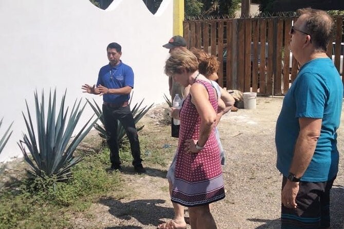 Private Tour, Sayulita & San Pancho - San Pancho Town Vibes: Galleries, History Notes, and a Calmer Crowd