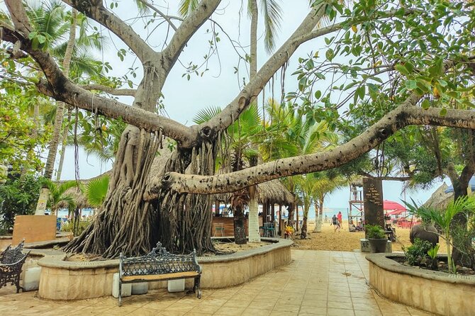 Private Tour, Sayulita & San Pancho - Morning Pickup and the Private Ride From Puerto Vallarta