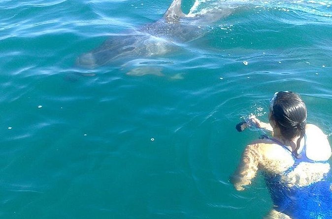 Private Wild Dolphin Encounter in Puerto Vallarta - Thalia and captain Angel: what you learn while dolphins move