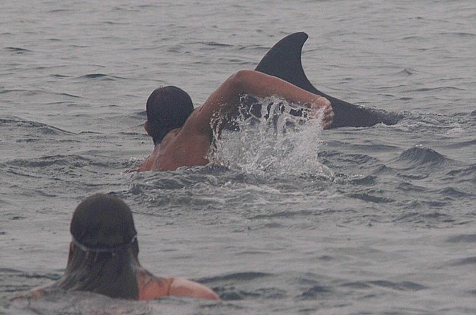 Private Wild Dolphin Encounter in Puerto Vallarta - Lunch on the boat: included fuel without extra stops