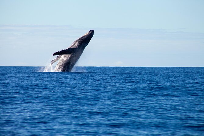 Private Yacht, Sightseeing, Snorkeling and Private beaches - Sailing Past Puerto Vallarta’s Shoreline to Playa Las Gemelas