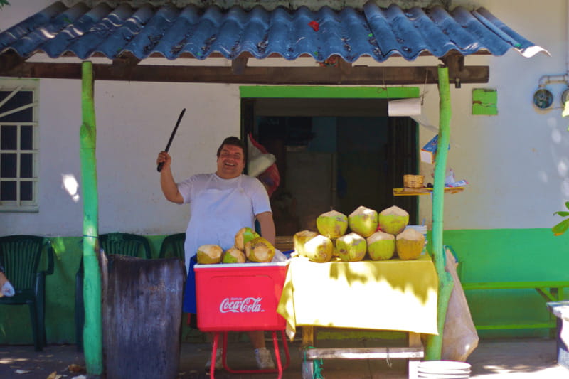 Puerto Vallarta 3-Hour Food Tour of Authentic Local Cuisine - Key things to know before you go