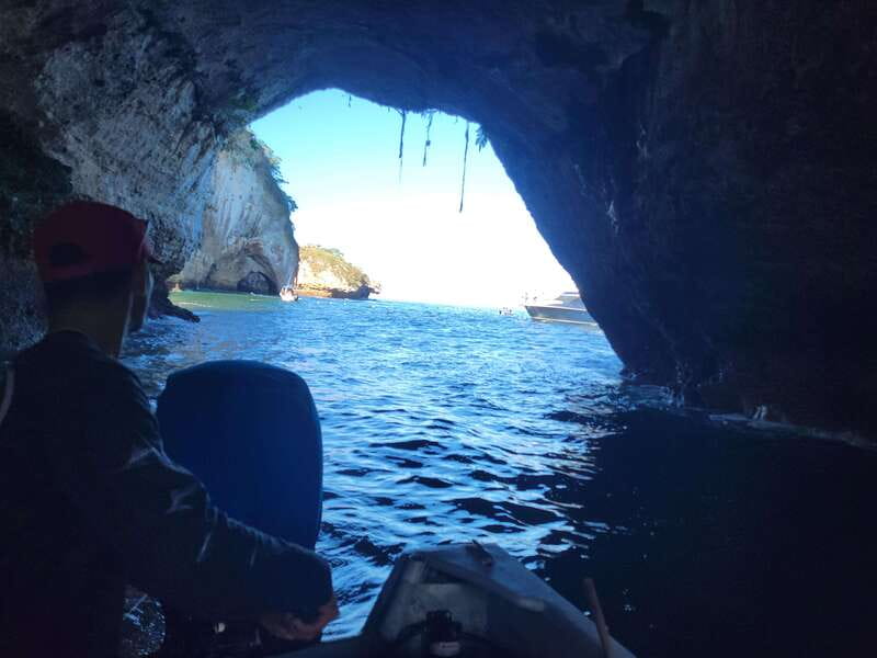 Puerto Vallarta: 3-Hour Whale Watching and Snorkeling - Who This Tour Fits (and Who Should Skip It)