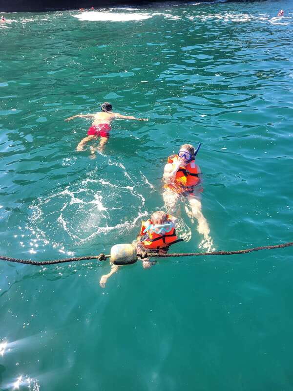 Puerto Vallarta: 3-Hour Whale Watching and Snorkeling - From the Marina to Whale Spotting: How the Captains Find Them