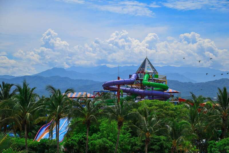 Puerto Vallarta: Aquaventuras Park Admission Ticket - Sea Lions and Dolphins Presentations: Conservation Learning Included