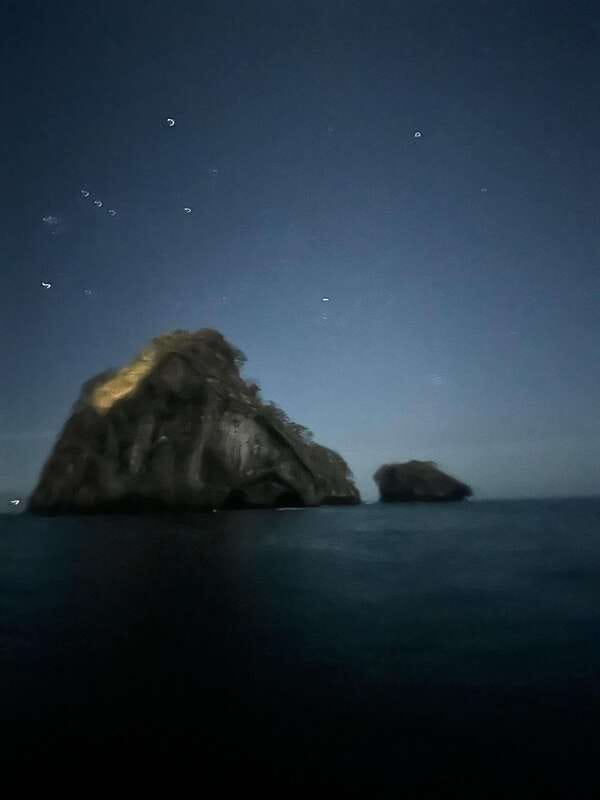 Puerto Vallarta: Bioluminescence in Los Arcos Marine Park - Key moments to pay attention to