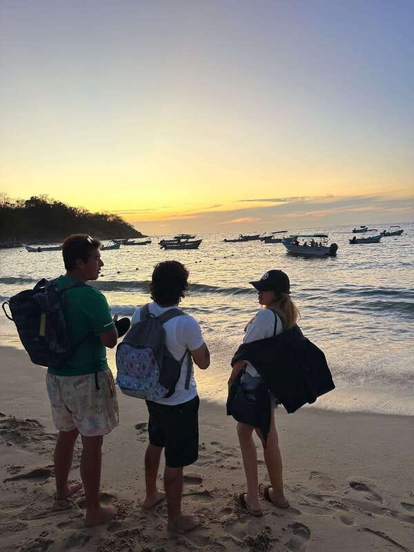 Puerto Vallarta: Bioluminescence in Los Arcos Marine Park - How the Los Arcos bioluminescence tour fits your evening