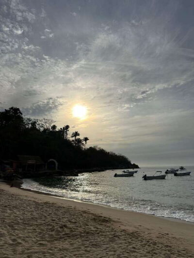 Puerto Vallarta: Bioluminescence in Los Arcos Marine Park - Getting there: Margaritagrill on Basilio Badillo