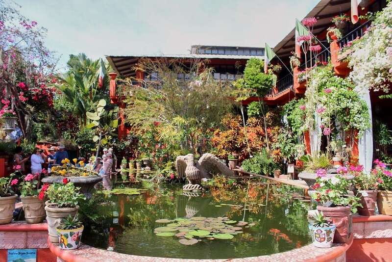 Puerto Vallarta: Botanical Gardens, Distillery & Coffee Tour - Botanical Gardens First: How the Morning Sets the Tone