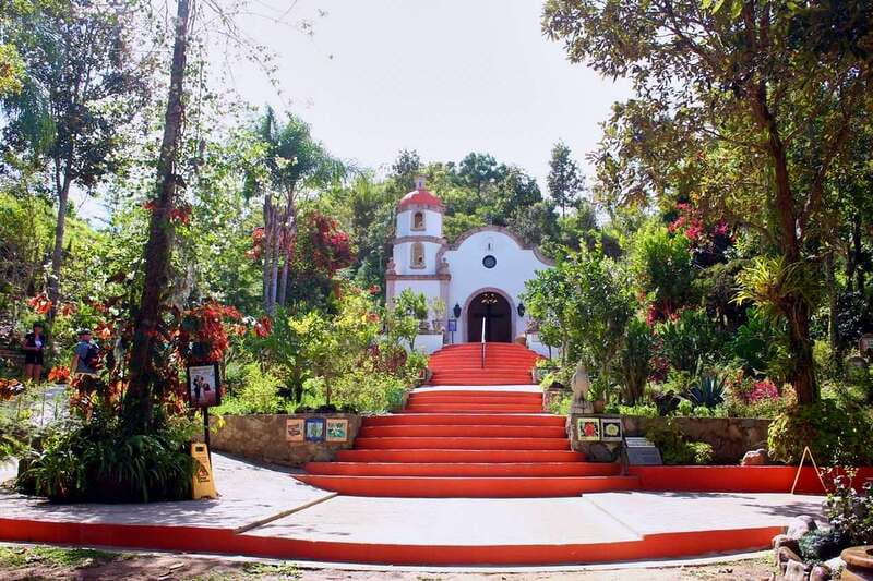 Puerto Vallarta: Botanical Gardens, Distillery & Coffee Tour - The Walking Trails: Preserved Forest Meets Display Gardens