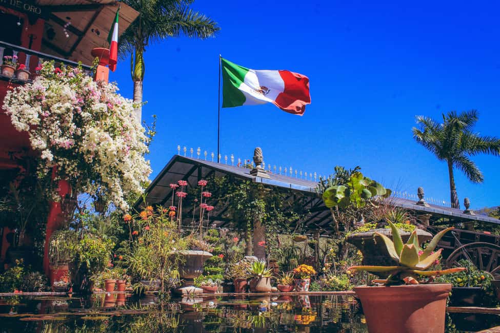 Puerto Vallarta: Botanical Gardens, Distillery & Coffee Tour - Organic Coffee Factory: A Regional Stop That Works Best If You Like the Basics