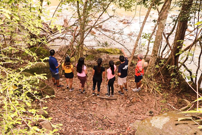 Puerto Vallarta Botanical Gardens Hiking Tour - Los Veranos Adventure Park: Slides, swims, and river time