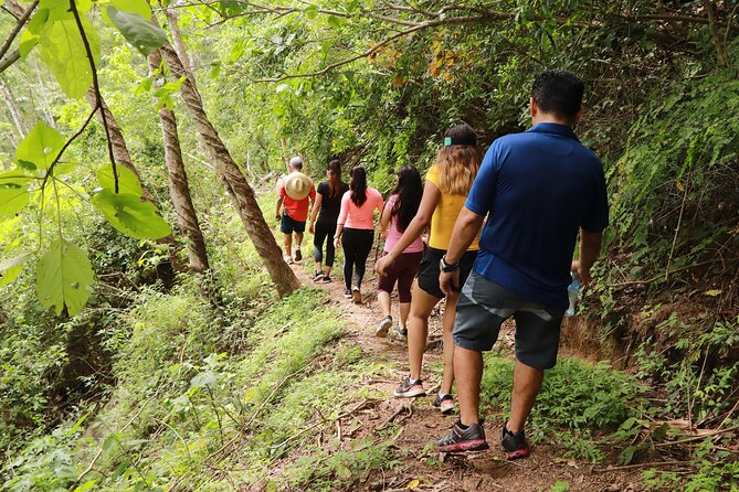 Puerto Vallarta Botanical Gardens Hiking Tour - Tequila tasting: What you’re getting (and the age rule)