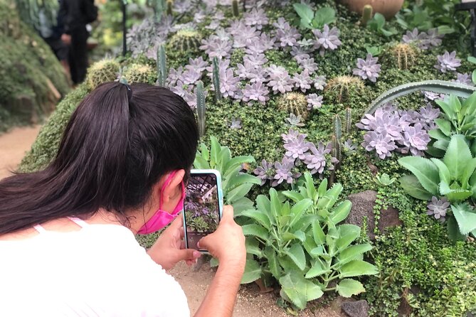 Puerto Vallarta Botanical Gardens Hiking Tour - Animal Sanctuary: Rescued wildlife and the hands-on moments