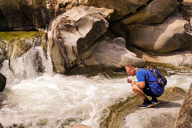 Puerto Vallarta Botanical Gardens Hiking Tour - Guide and group size: What small numbers change
