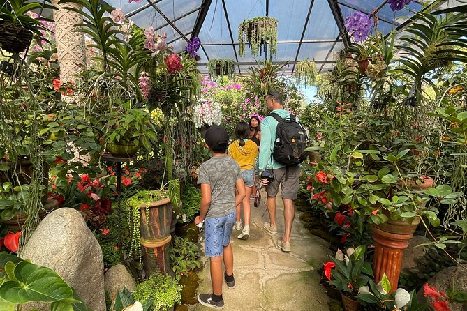 Puerto Vallarta Botanical Gardens Hiking Tour - Price and value: Is $102 worth it?