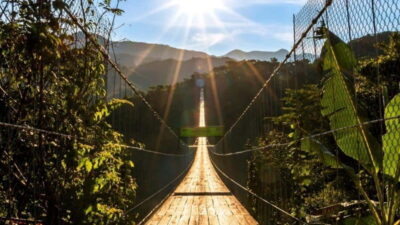 Puerto Vallarta: Canopy River + Jorullo Bridge Pass - The 11-zip line circuit: long runs, a river finale, and real safety habits
