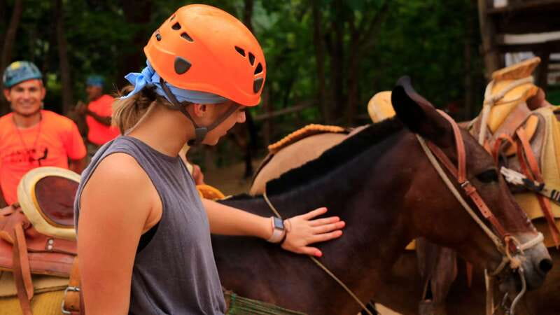 Puerto Vallarta: Canopy River Zip Line Tour with Mule Ride - Entering the Canopy River Day: Shuttle, Timing, and Where You Meet