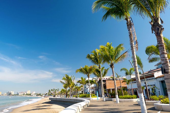 Puerto Vallarta City Tour - Lunch and the food break: plan for a real mid-day pause