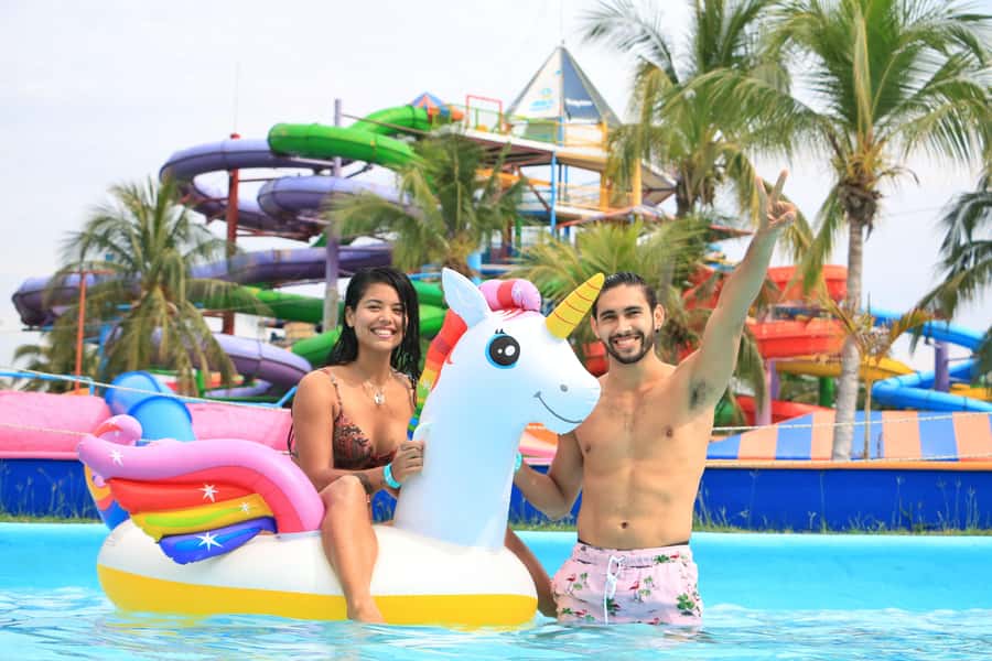 Puerto Vallarta: Dolphin Swimming and Aquaventuras Park - Practical tips: cameras, cash, and how to avoid surprise costs