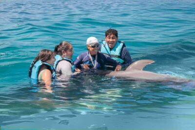 Puerto Vallarta: Dolphin Swimming and Aquaventuras Park - The 2-hour timeline: briefing, dolphins, then slides