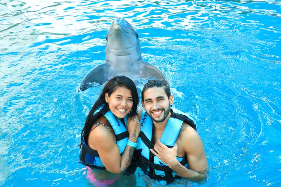 Puerto Vallarta: Dolphin Swimming and Aquaventuras Park - Who should book this, and who should skip it