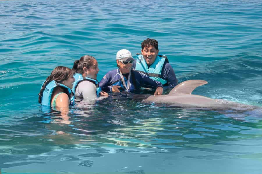 Puerto Vallarta: Dolphin Swimming and Aquaventuras Park - The 2-hour timeline: briefing, dolphins, then slides