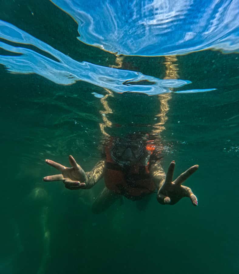 Puerto Vallarta: Hidden Beaches & Adventure Park - Water taxi to Las Ánimas and back: the scenic shortcut