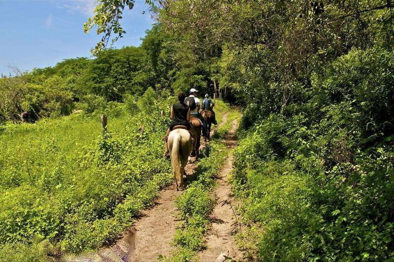 Puerto Vallarta Horseback Riding - What You’ll Actually Do Over the 4 Hours