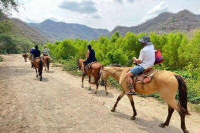 Puerto Vallarta: Horseback Riding, Lunch & Unlimited Drinks - Along the Mascota River: Scenic horseback riding without the fuss