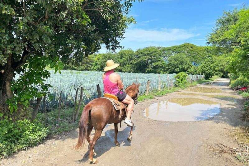 Puerto Vallarta: Horseback Riding, Lunch & Unlimited Drinks - Lunch with Mex BBQ, margaritas, and unlimited drinks that make the ride worthwhile
