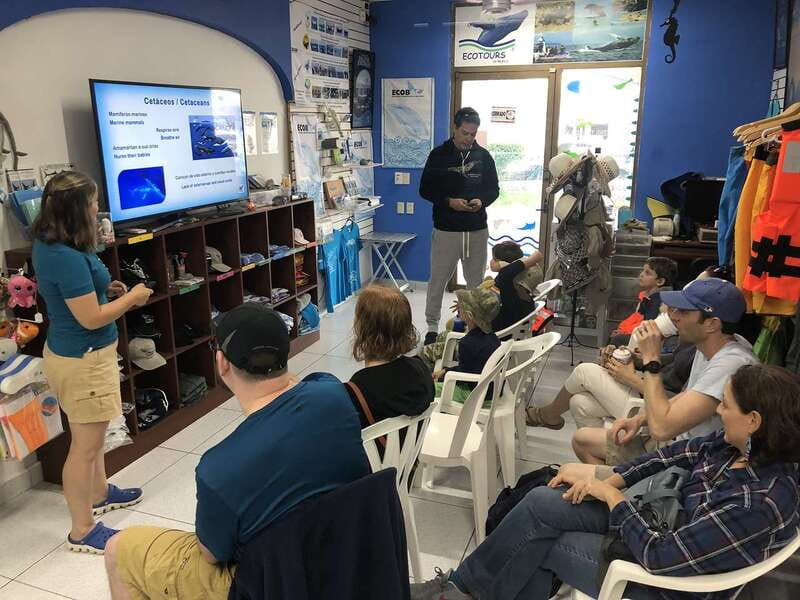 Puerto Vallarta: Humpback Whale Research Adventure Tour - Key Highlights You’ll Feel Immediately
