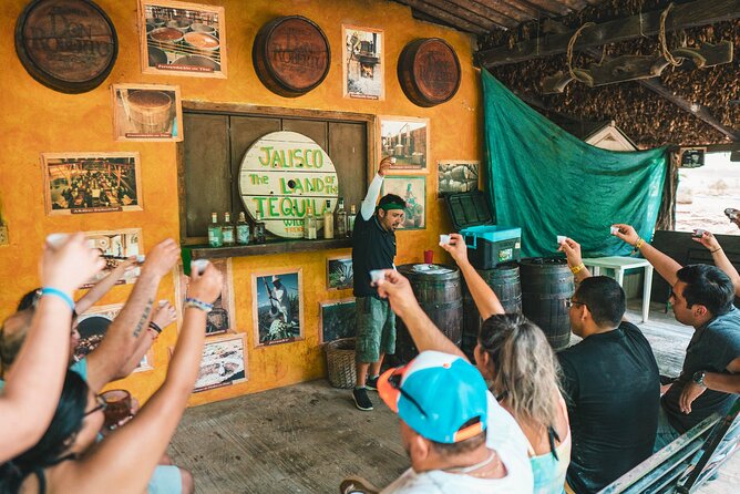 Puerto Vallarta Jungle Tour or RZR + Tequila - Key Highlights You’ll Care About